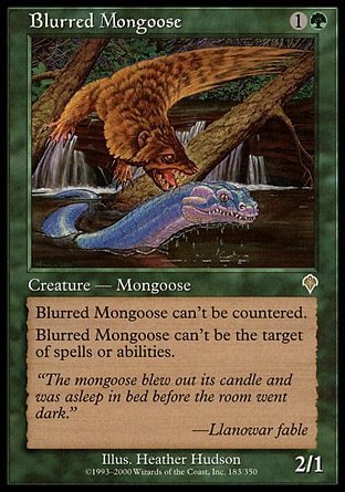 MANGOSTA BORROSA / BLURRED MONGOOSE (INVASION)