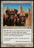 PERROS GUARDIANES / GUARD DOGS (TRANSMIGRACION)
